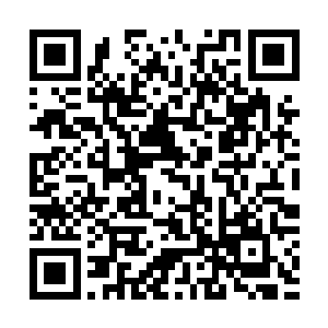 翅膀扇动着巨大的罡风将白芷蔷他们10个人删得七倒八歪二维码生成