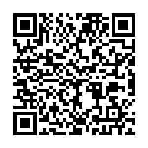 翎…翎雨…很…很痛的…我可以的…你抓紧炼化…快…二维码生成