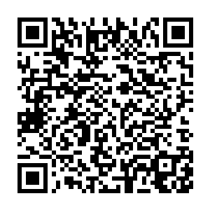 翟东东主演的男主张毅正一路小跑的追着爱丽丝主演的女主奈蒂莉二维码生成