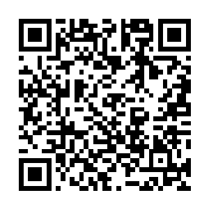 翠绿色的神光刹那之间就化作了实质把冰寒风暴冲散开来二维码生成