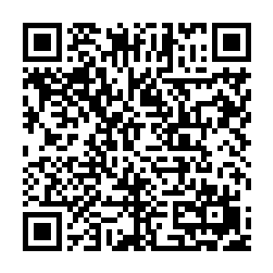 老兄……你要是真能用这把枪把那群狼鹰打下来一只……我就算你赢了二维码生成