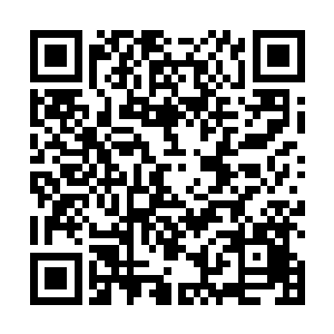 老加藤君再拿长长镊子把那骨琴从玻璃容器底部夹出来二维码生成