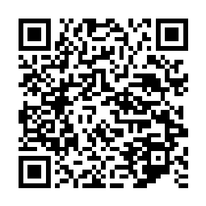 老夫一定将你收为亲传弟子……可惜……为了老夫的武道之路二维码生成