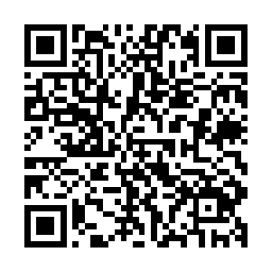 老夫代表全城数十万百姓和数百上下同僚感谢你们的救命之恩二维码生成