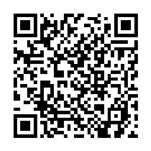 老夫希望将来金宏到了必须要离开暗星界的时刻时二维码生成