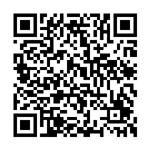 老夫能够催动灵农宝宗去任何一个你想去的地方二维码生成