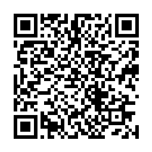 老头打算用三堂课的时间讲完人类生理结构中的要害和弱点二维码生成