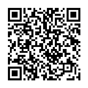 老子早就看你那什么事情都尽在把握之中的淡然模样看够了二维码生成