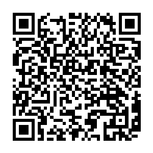 老子直接全都炒你们的鱿鱼……真是一群没用的废物……马上坐船离开南山岛二维码生成