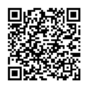 老子还记得当年你们第一次来到华夏准备开分馆的时候二维码生成