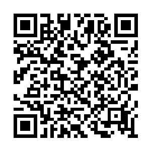 老实说也曾经幻想过自己主演里面的角色会怎样二维码生成