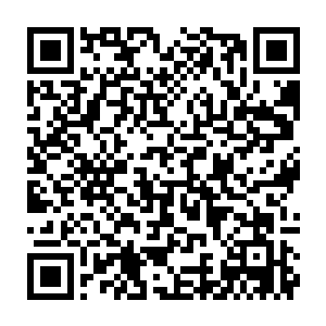 老实说贝海的老娘鲁新萍或者姐姐家的两个小魔头在这群鹅前都比贝海管用二维码生成