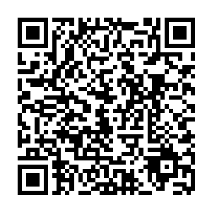 老成一点的大妈倒是在高处用狙击步枪帮忙试探检查了好几处可疑的动静二维码生成