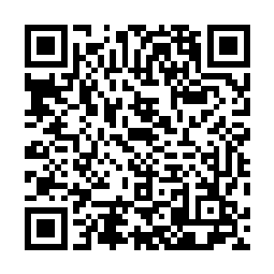 老板娘相当好奇不知是修行界哪位师傅能教出这样的弟子二维码生成