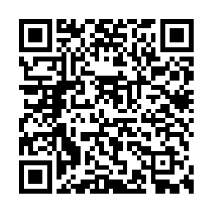 老爷子和大舅舅已经将苏族的传承之力传给我了二维码生成