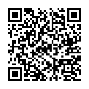 老爷子在修行界的地位岂是区区一场比试能动摇的二维码生成