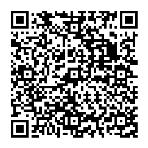 老猴子暗自嘀咕 看着风清扬 瞳孔缓缓收缩起來 其内闪过一道精芒 也不知道是在想些什么二维码生成