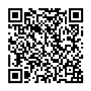 老白依旧是那副任何时候遇事都从从容容淡定得不行的样子二维码生成