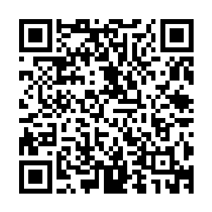 老皇帝目光温柔地盯着苏落精致的五官上上下下仔仔细细地看二维码生成