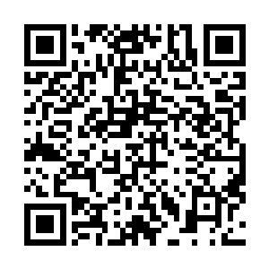 老翅几回寒暑……老翅几回寒暑……后面的是什么啊……二维码生成