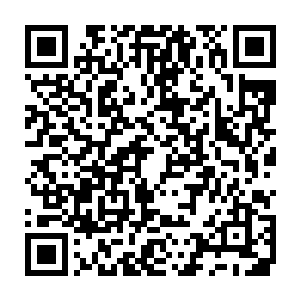 老者说完 闭上了那双洞悉千古的双眼 散发而出的威压顿时消失不见二维码生成