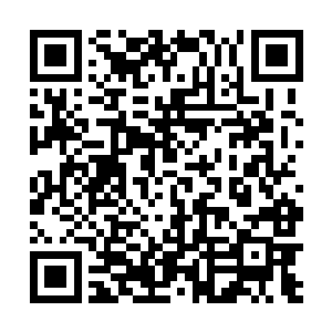 而一些性急的武装人员只能动用他们最传统的交通工具二维码生成