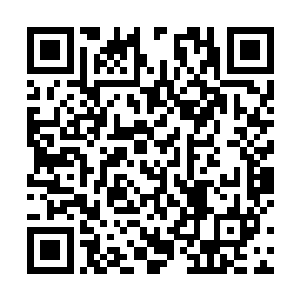 而一开始嚣张的那个青年俘虏则是彻底傻在了那里……二维码生成