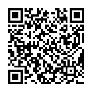 而一直跟在炫无机身边的碧眼海猿一族族长却脸色大变二维码生成