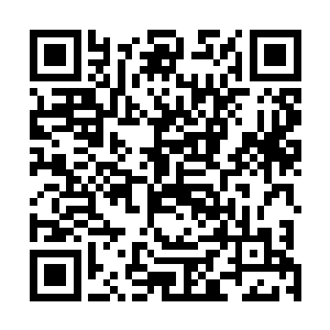 而一路追杀的涂三量等人一到镇海山外围便不敢再靠近了二维码生成