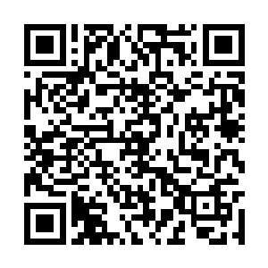 而一边的墙角蒋朝忠已经倒在地上不知道是死是活二维码生成