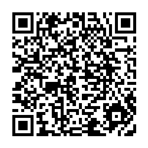 而一进去就看见流墨墨和天幸她们正围在桌前盯着被流墨墨接下的水晶球二维码生成