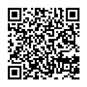 而七皇子离京在外被太后和皇后趁机推举五皇子登基为帝……二维码生成