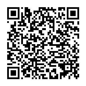 而三人跟着苗毅一起修炼所带来的好处还远远不止是节省了修炼资源二维码生成