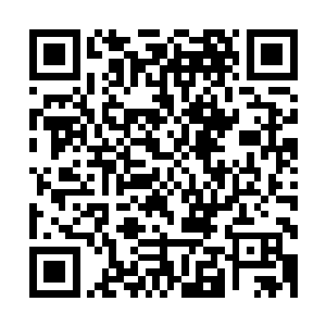 而上面冬眠仓里的修仙者也可以全部解冻的话……这些人不把二维码生成