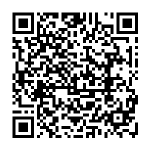 而不是像绿头发骷髅所说的那样是在南方以南……他这是要坑死这支队伍啊二维码生成