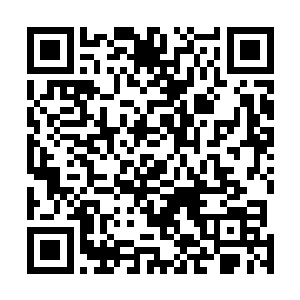 而不是最初蓝岛方面自己设计的先启动一号线的试验线路二维码生成