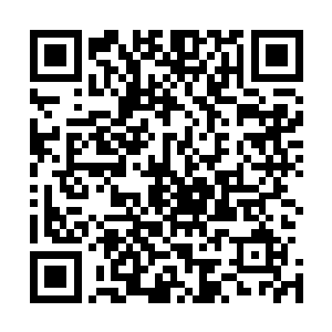 而不知是不是被流墨墨吓到的司空苏娜也依旧垂眸安静站着二维码生成