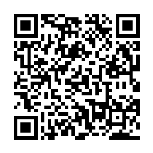 而与淮北王妃坐在一起的卢七娘虽然不复年轻时的秀丽二维码生成