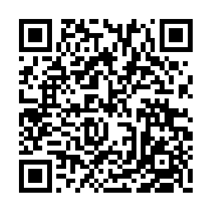 而且一点都不害羞地表示看上的就是对方的皮相二维码生成