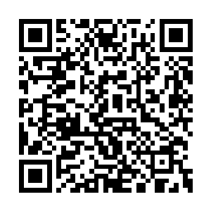 而且上一代战神还和十大守护家族有着血海深仇二维码生成