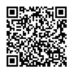 而且之前转让法属印度支那的条约可是他签署的二维码生成