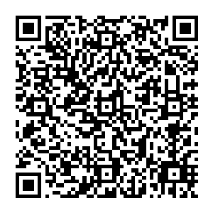 而且也有人调查吕嘉薇旗下两家投资公司在遂安的多晶硅产业和太阳能光伏产业上的投资问题二维码生成