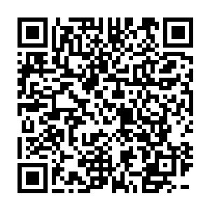 而且他们也不像柳生剑影那样……练了一身完全没法儿与人配合的技能二维码生成