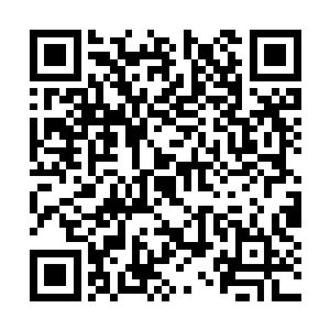 而且他们也知道许琴扬如今依旧每日在决斗场挑战二维码生成