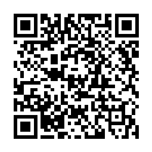而且他们身上所穿的盔甲完全可以隔绝这种蓝色的火焰二维码生成