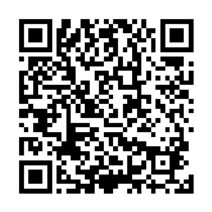 而且他们那些离开夏天队伍的人还组成了一个全新的队伍二维码生成