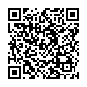 而且他刚才似乎听到族长要亲自去释放上元大陆的修士二维码生成