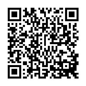 而且他的人之中有很多是从中东和利比亚逃过来的老牌恐怖分子二维码生成