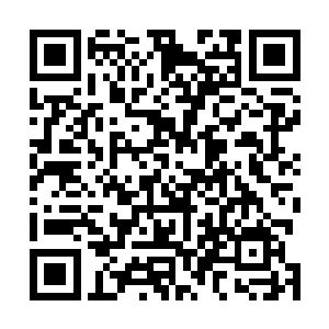 而且似乎是被人通过邪恶手段将人和妖兽的部位融合而成二维码生成