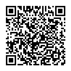 而且作为大家长的大伯也不会由着严老太爷胡乱地作主家中姑娘们的亲事二维码生成
